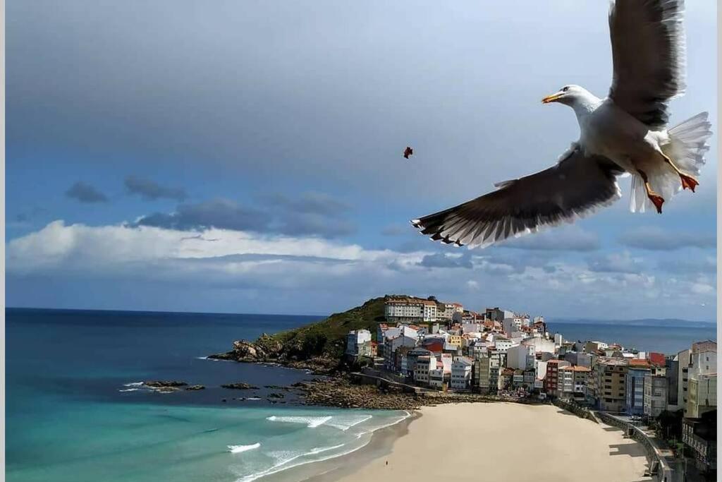 Apartamento Sisargas Malpica Dış mekan fotoğraf